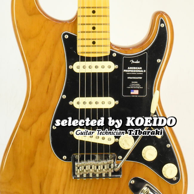 yNewzFender American Professional2 Stratocaster MN Roasted Pine(selected by KOEIDO)XIA[XebhpCI