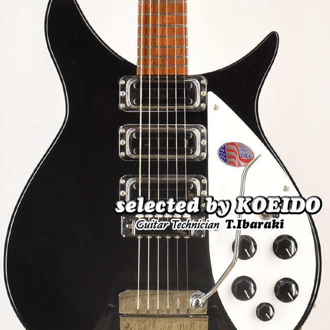 ֡NewRickenbacker 325C64JG(selected by KOEIDO)ΰ㤦ŹĹ325åХåƲפ򸫤