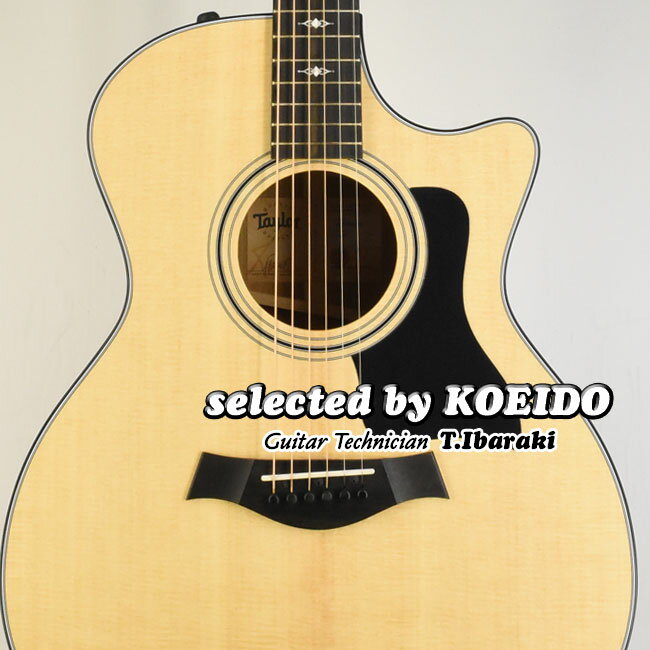 Taylor 314ce V-Class テイラー(selected by KOEIDO)店長厳選、 ...