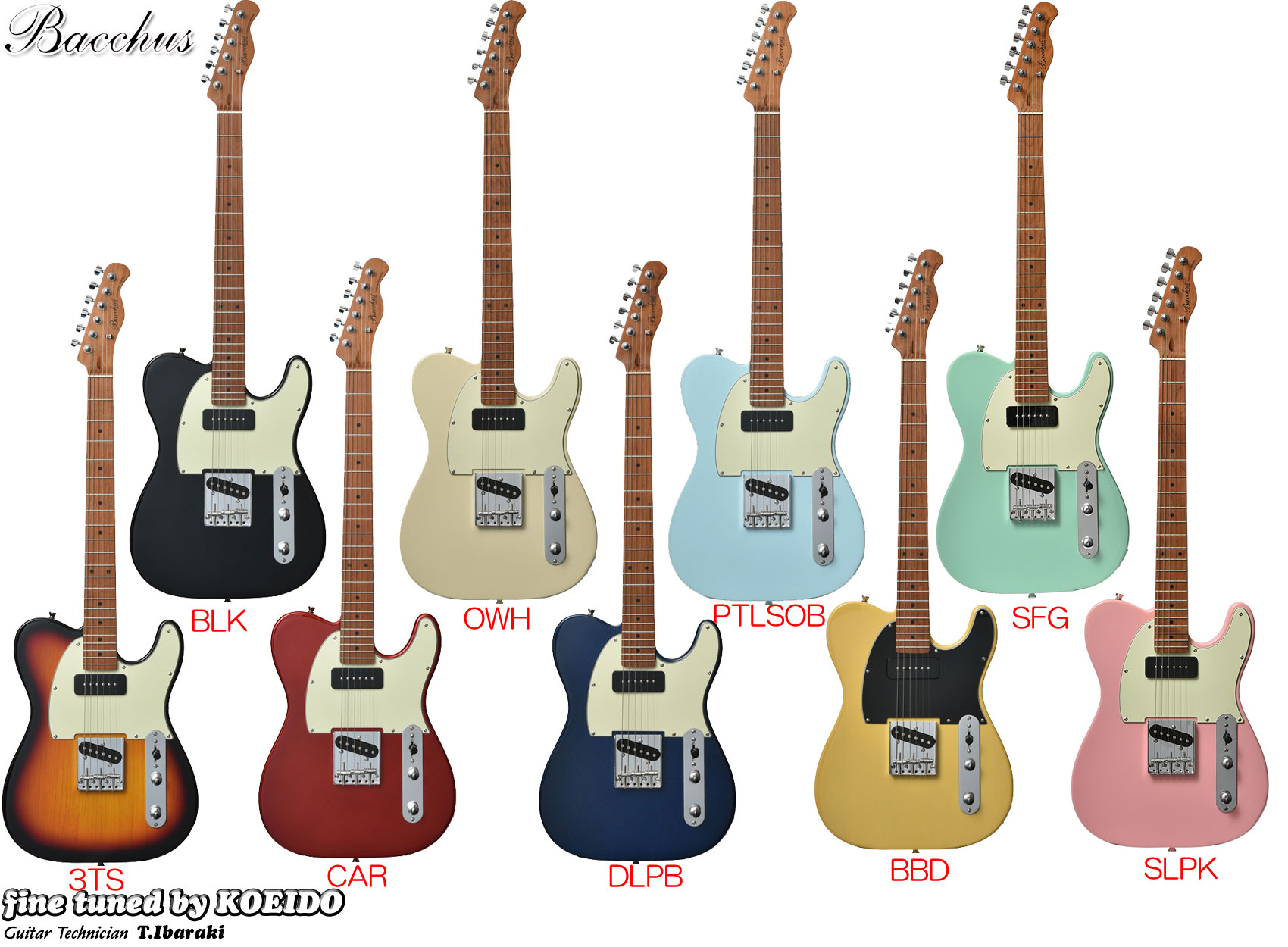 Bacchus BTE-2-RSM/M【ストラップサービス中!】【送料無料】エレキギター テレキャスター 初心者 入門用