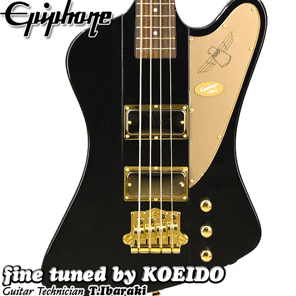 Epiphone Rex Brown Thunderbird Ebony エピフォン レックス ブラウンPANTERA パンテラ サンダーバード