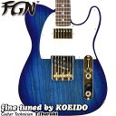 FUJIGEN/FgN Neo Classic NTE210RAH SBB(Fine Tuned by KOEIDO)【送料無料】フジゲン エレキギター テレキャスター