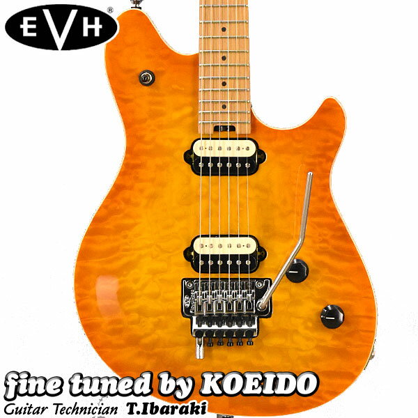 EVH Wolfgang Special QM BAKED MAPLE SOLAR(fine tuned by KOEIDO)ヴァンヘイレンモデル ウルフギャングスペシャル