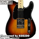 SCHECTER PS-PT-N 3TS/MyVFN^[ѐMsbN10r[TtzyzVFN^[@GLM^[@eLX^[ @t̃o[Q