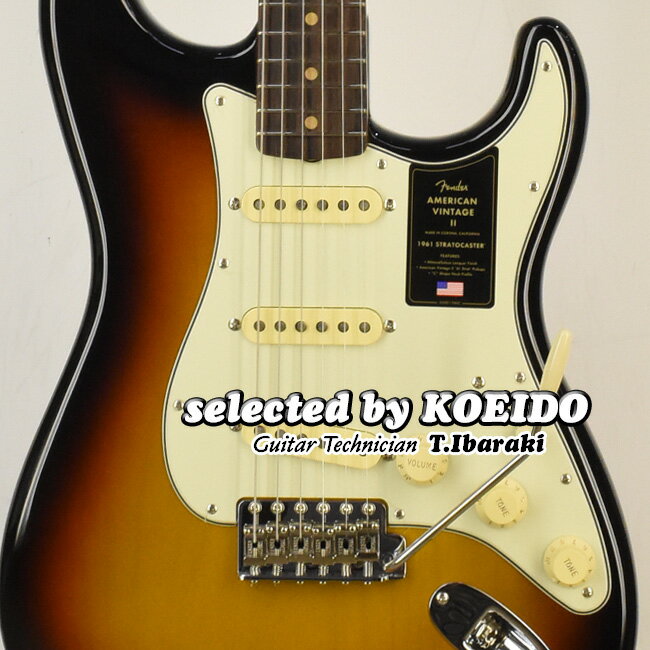 Fender Mexico（フェンダー）Troy Van Leeuwen Jazzmaster Copper Age