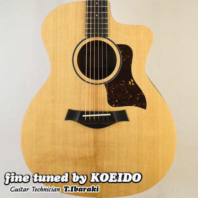 Taylor 14ce(fine tuned by KOEIDO)【送料無料】テイラー　アコースティ ...