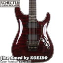 SCHECTER Hellraiser C-1 FR BCH [AD-C-1-FR-HR]【シェクタ ...