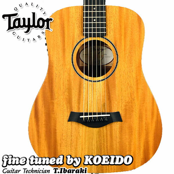 Taylor Baby Taylor-e Mahogany【エレアコ仕様】【送料無料】【Taylor ピックをプレゼント！】テイラーアコースティックギター ベイビーテイラー エレアコ ミニギター