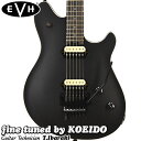 EVH Wolfgang Special Ebony Fingerboard Stealth Black(fine tuned by KOEIDO)【送料無料】ヴァンヘイレン　エレキギター