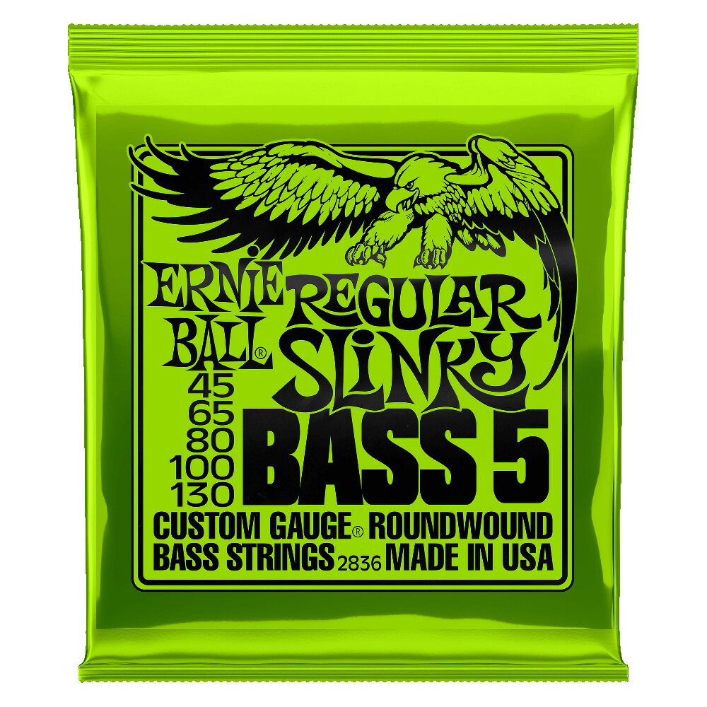 ERNIE BALL #2836 Regular Slink