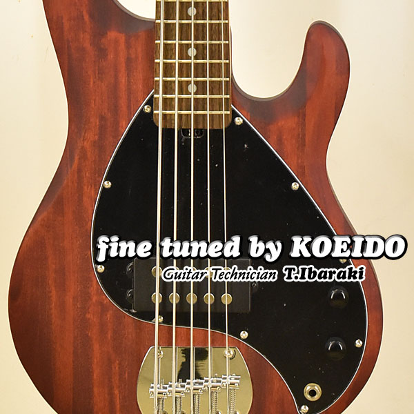 Sterling by MUSICMAN S.U.B Series RAY5 WS【アーニーボールストラップサービス＆レビュー特典付き】【送料無料】スターリン5弦ベース