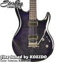 Sterling by MUSICMAN LK100 Blueberry Burst LUKE Steve Lukatherモデル【アーニーボールストラップをプレゼント&レビュー特典付き!】【送料無料】