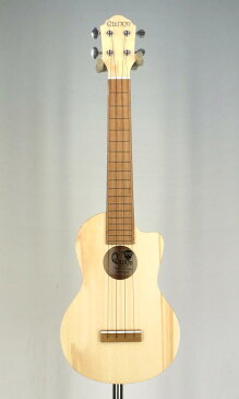 Quiam Ezo's Ukulele Concert Through Neck(selected by KOEIDO)店長厳選最新コンサート！クワイアン　ウクレレ