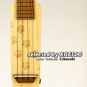 Quiam Ezo's Silent Ukulele Concert Elevocco LTD