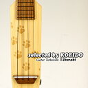  New Quiam Ezo's Silent Ukulele Concert Elevocco LTD(selected by KOEIDO)XITCgENI