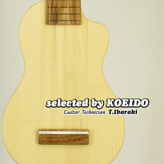 NewQuiam Ezo's Silent Ukulele Concert EleComcon(selected by KOEIDO)ŹĹǿȥ졪