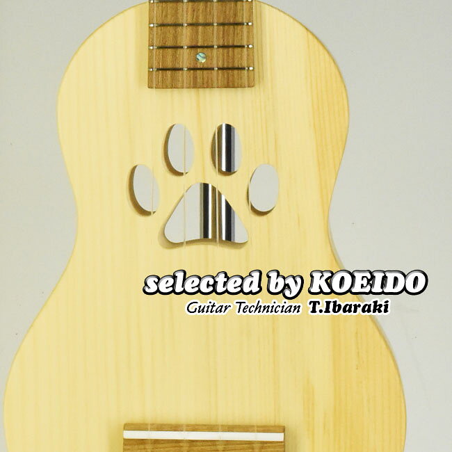 【New】Quiam Ezo's Silent Ukulele EleComcon Soprano(selected by KOEIDO)店長厳選最新ソプラノサイレントウクレレ！