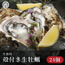 坂越産 殻付き牡蠣 24個 生食用【坂越牡蠣 牡蛎 牡蠣 か