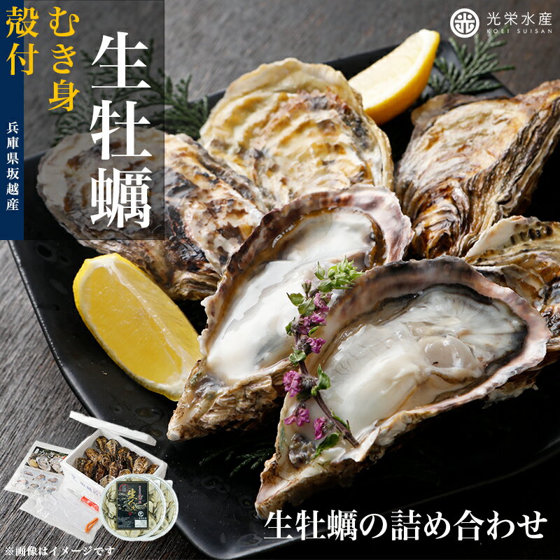 坂越産 殻付き生牡蠣24個+むき身500g【坂越牡蠣 牡蛎 牡蠣 かき カキ 殻付き からつき 殻付き牡蠣 殻付きかき 生かき 生がき 生カキ 生ガキ 生牡蠣 生食 生食用 赤穂 坂越 お取り寄せ 送料無料 坂越かき なまかき 光栄水産】のサムネイル