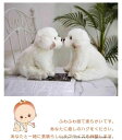 積み木 知育玩具 おもちゃ ソフトつみき おおきなやわらかブロック 色形認識 はめ込み 親子ゲーム 子供用 出産お祝い 1歳2歳3歳4歳お誕生日プレゼント