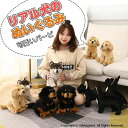 犬 ぬいぐるみ リアル 犬のぬいぐるみ イヌ グッズ 犬雑貨 犬のぬいぐるみ 愛犬家 おもちゃ ギフト お祝い 誕生日 プレゼント クリスマス