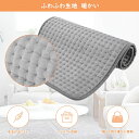 軽量便利 丸洗い可能 過熱保護 速暖 電気マット タイマー機能付き 電気カーペット ホットカーペット段階温度調節