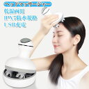 軽量 健康器具 プレゼント バレンタイン 母の日 健康グッズ 防水 電動 頭皮ブラシ 頭皮ケア ヘッドスパ