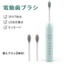音波歯ブラシ 旅行用 携帯用 高級感 コスパがいい お携帯ケース 音波式 電動音波歯ブラシ 充電式 替えブラシが安い