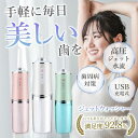 矯正 大容量 電動 歯石取り 歯茎ケア 口内洗浄機 歯間洗浄機 ウォーターフロス 歯垢除去 ジェットウォッシャー(2)