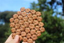 鍋敷き 瓶敷 鍋敷 山葡萄 六角花結び編み 鍋敷き なべしき キッチン雑貨 ギフト プレゼント アスタリスク ナチュラル シンプル キッチン ポットスタンド