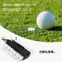 1点セット ゴルフティーキャディセット 1ティーキャディ 1ボールマーカー 1ディボットリペアツール 1ペンシル 12ティー プラスチックゴルフティーホルダー ...
