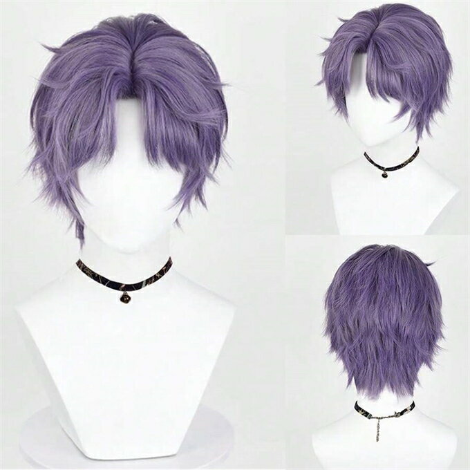 アニメゲームコスプレ用 パープル 人工毛ストレートウィッグ、センターパート フワフワ 耐熱 デイリー&パーティー用
