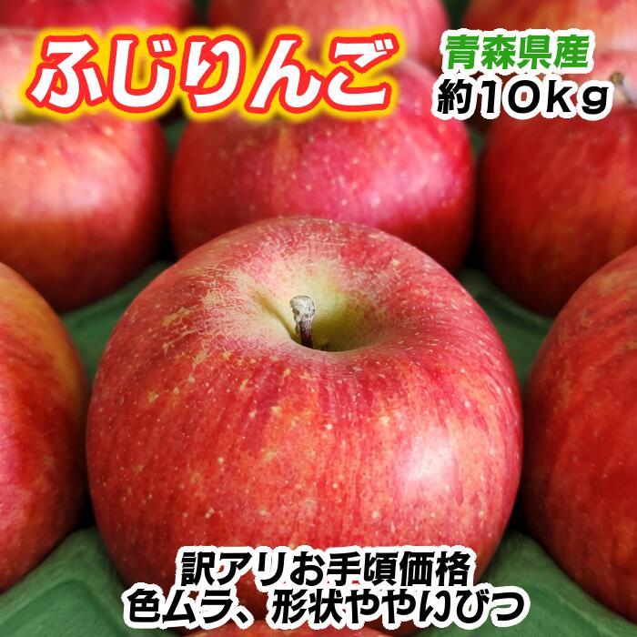 リンゴ フジ 10キロ 大玉の通販