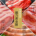 【 初回限定 送料無料 】 豚 肉 お試し 新潟産 越乃黄金豚 お試し人気商品4点 セット ｜ 豚バラ 豚ロース 豚モモ ソーセージ 豚肉 ブランド豚 お試しセット お取り寄せ お取り寄せグルメ 新潟 胎内 岩船 巣ごもり おうちごはん こがね牧農舎 ピア万代 ピアBandai