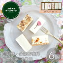 【保存料等一切無添加】 チーズケーキ【白砂糖不使用チーズケーキお試し4種セット 初春】手土産 かわいい 個包装 ギフト お菓子 3000円 スイーツ 大人 誕生日 内祝い 贈り物 糖質制限 ローカーボ オーガニック 　子供 男の子