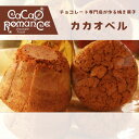 父の日 カカオベル 10個入