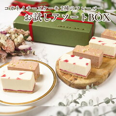 https://thumbnail.image.rakuten.co.jp/@0_mall/koganei/cabinet/kyoutu/2cheese/imgrc0094426689.jpg