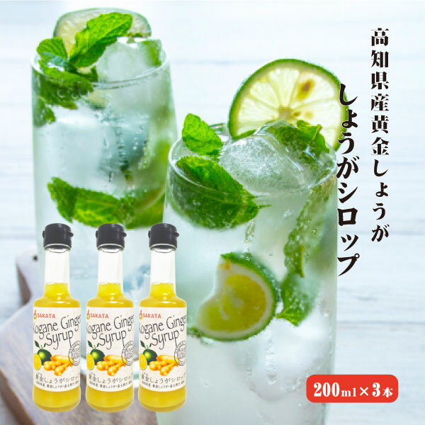 【送料無料】 黄金しょうがシロップセット 200ml×3 高知県産 ジンジャー ジンジャーシロップ 生姜シロップ しょうが…