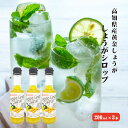 【送料無料】 黄金しょうがシロップセット 200ml×3 高知県産 ジンジャー ジンジャーシロップ  ...