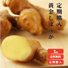 定期購入【送料無料】 高知県産　黄金生姜 2kg