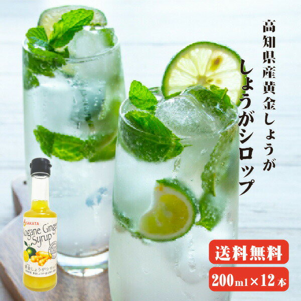 【送料無料】 黄金しょうがシロップセット 200ml×12 高知県産 ジンジャー ジンジャーシロップ 生姜シロップ しょうがシロップ 無添加 無着色 生姜 しょうが ショウガ 国産 1