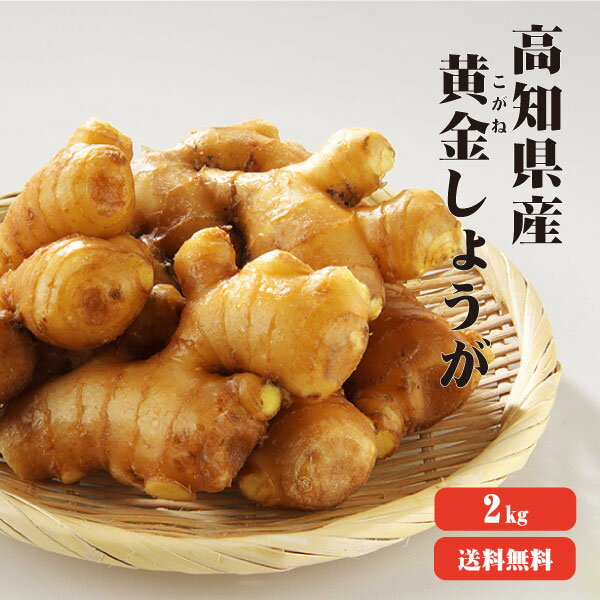 ●　商　品　内　容　確　認 ● 商品名 高知産 黄金生姜 2kg 産地 高知県 内容量 2Kg 保存方法 【1週間程度の場合】ビニール袋からしょうがを取り出し、濡らした新聞紙で包みます。しょうがの保管最適温度は14℃〜15℃です。冷蔵庫では少し寒いので、冷蔵庫・野菜室の冷気の当たらない所に保管して下さい。また、新聞紙が乾いたら再度湿らせましょう。【さらに長期保存をする場合】しょうがをすりおろし、一回の使用分ごとに小分けにして【冷凍庫】で保存してください。※しょうがを「丸のまま」冷凍保存後、解凍してご利用することはおすすめできません。解凍せずに、冷凍したままおろし金ですりおろしてご利用くださいませ。 販売者 株式会社　坂田信夫商店 高知県香美市土佐山田町宝町4丁目91-4 配送温度帯 関連ワード 生姜 しょうが ショウガ 国産黄金しょうが 酢しょうが 紅茶 保存 生姜効能 根生姜