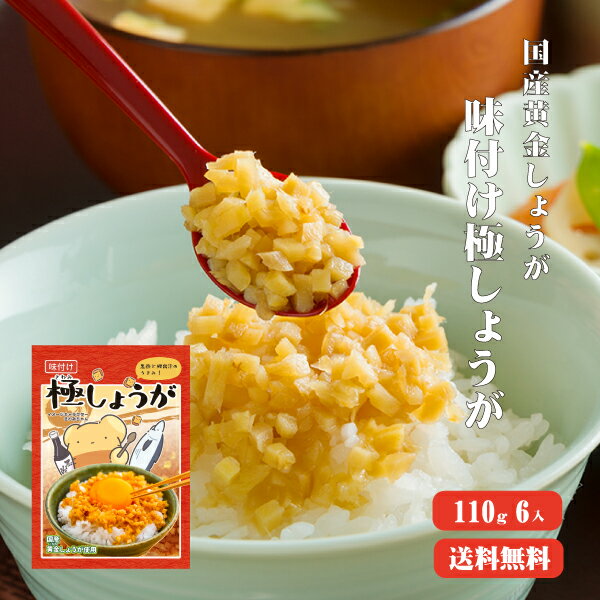 【送料無料】 サクサク味付け極しょうが 110g×6 ふりかけ ご飯のお供 酢しょうが おかず生姜 万能調味料 生姜 しょう…