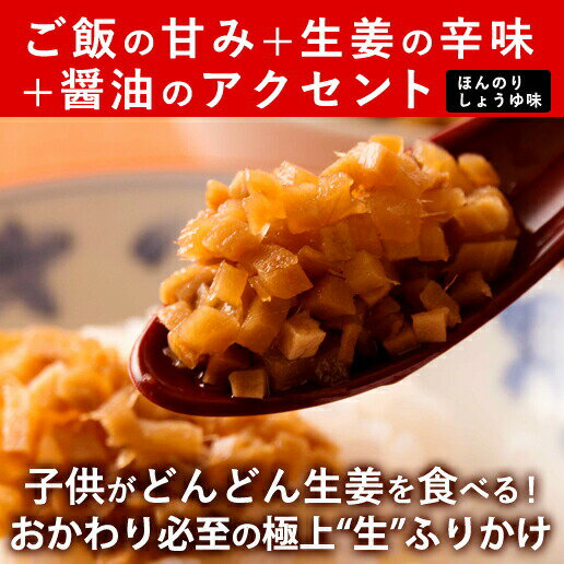 【送料無料】サクサク味付け極しょうが 110g×4 ふりかけ ご飯のお供 酢しょうが おかず生姜 万能調味料 生姜 しょうが ショウガ 国産 2