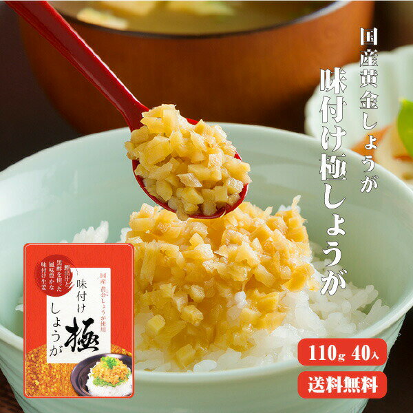 【送料無料】 サクサク味付け極しょうが 110g×40 【まとめ買い】 ふりかけ ご飯のお供 酢しょうが おかず生姜 万能調味料 生姜 しょうが ショウガ 国産のサムネイル