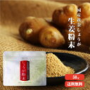 【送料無料】高知産黄金しょうが100% しょうが粉末 50g 【代引不可】 高知県産 黄金生姜 生姜粉末 しょうがパウダー ジンジャーパウダー 乾燥ショウガ 無...