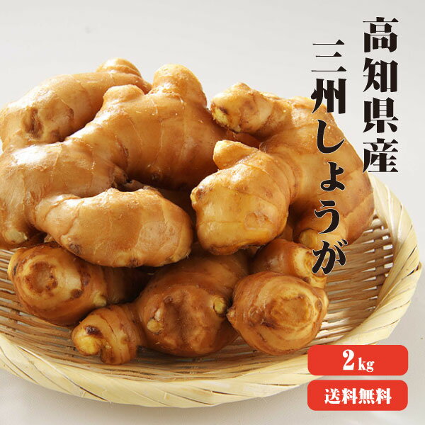 【送料無料】 高知産 三州生姜 2kg 【業務用】 三州生姜 酢しょうが 紅茶 保存 生姜効能 根生姜 生姜 しょうが ショウガ 国産