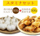 【送料無料】スタミナセット 黄金しょうが500g×香川県産にんにく500g 黄金しょうが 高知県産  ...