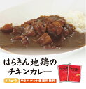  土佐はちきん地鶏のチキンカレー　210g×2袋セット  ご当地カレー レトルト 特産