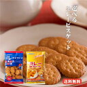 ラインサンド ビスケット×3袋【坂ビスケットなつかしのレトロ菓子】坂栄養食品 ロングセラー商品【札幌老舗菓子メーカー saka biscuit】バニラクリームサンド 縦長ビスケット 【メール便対応】